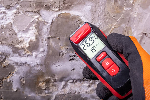 Best Home Mold Removal  in Pottsville, PA