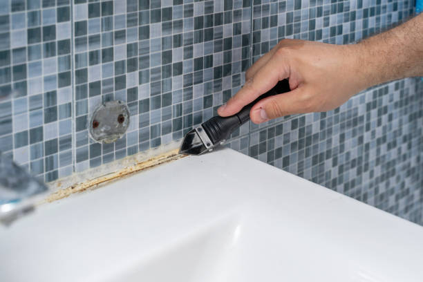Reliable Pottsville, PA Mold Removal Solutions