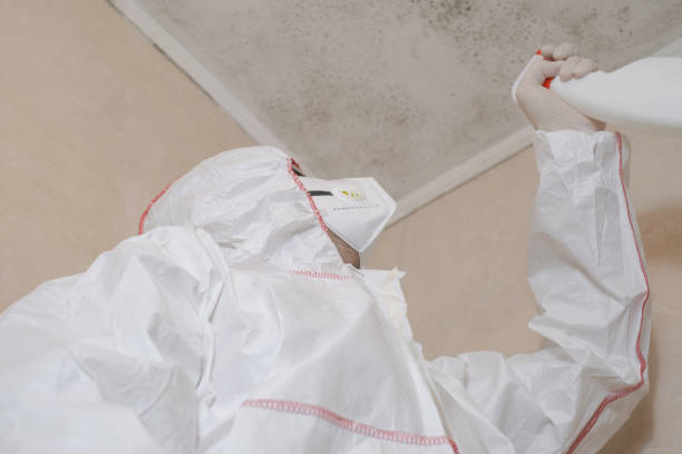 Best Residential Mold Removal  in Pottsville, PA